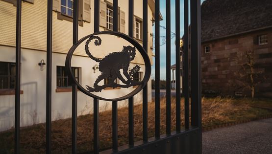 Monkey 47: Το μυστικό του Μέλανα Δρυμού