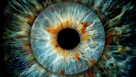 Επιστήμονες ανακάλυψαν νέο χρώμα-το ονόμασαν &#39;olo&#39; και το έχουν δει μόνο 5 άνθρωποι