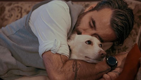 5 αδέσποτες ιστορίες