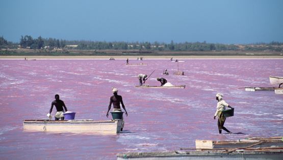 Ρέτμπα, η ροζ λίμνη της Σενεγάλης