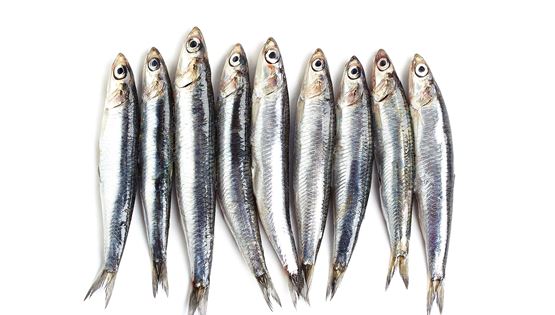 Τα κορυφαία εστιατόρια για ψάρι και θαλασσινά στην Αθήνα