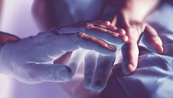 H βιομηχανία της αιώνιας ζωής