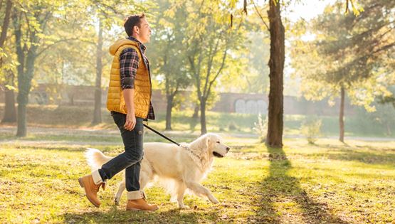 Τα οφέλη μίας απλής βόλτας είναι πολλά περισσότερα από ό,τι νομίζεις