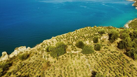 Ήρθε η ώρα να μιλήσουμε σοβαρά για το κρασί της Κεφαλονιάς