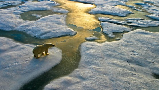 Περιβάλλον, ώρα μηδέν