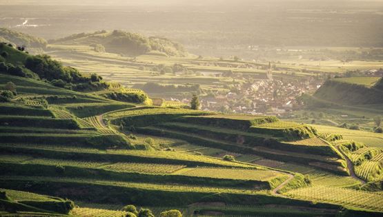 Η πιο πράσινη φουτουριστική πόλη της Ευρώπης