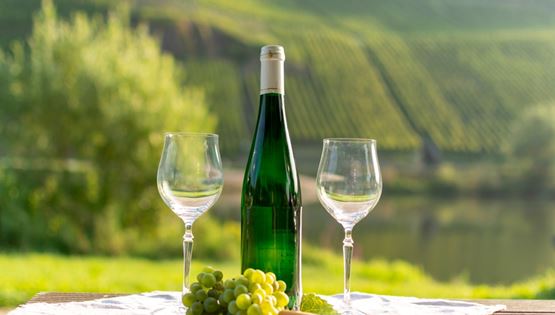 Τα πάντα για το Riesling