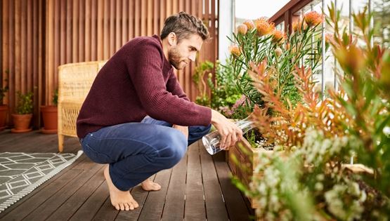 Πώς θα επιβιώσουν τα φυτά σου όσο λείπεις διακοπές