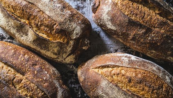 Πόσο ψωμί επιτρέπεται να φας μέσα στην εβδομάδα, σύμφωνα με το Harvard