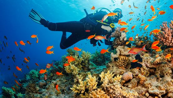 Tips για τέλειες καταδύσεις