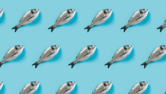 Η καλύτερη περίοδος για να φας ψάρι