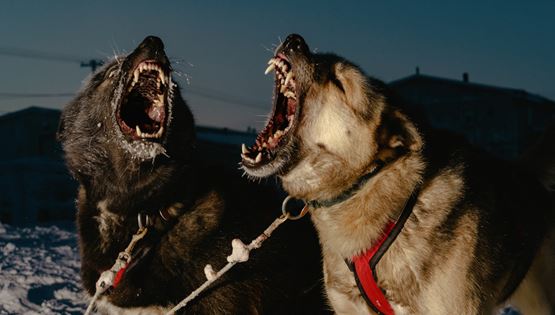 Εικόνες από τη ζωή στην πιο απομακρυσμένη πόλη της Αλάσκα