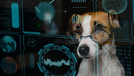 Tι μπορεί να κάνει το ChatGPT για το κατοικίδιό σου