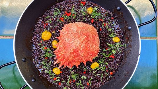 Πού πίνει και τρώει τώρα η Αθήνα