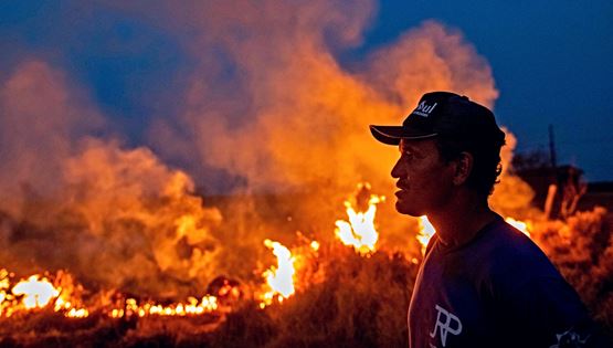 Ο Jair Bolsonaro χρησιμοποιεί τον κορονοϊό για να εξοντώσει τον Αμαζόνιο