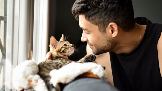 Πώς να μιλήσεις στη γάτα σου σύμφωνα με την επιστήμη