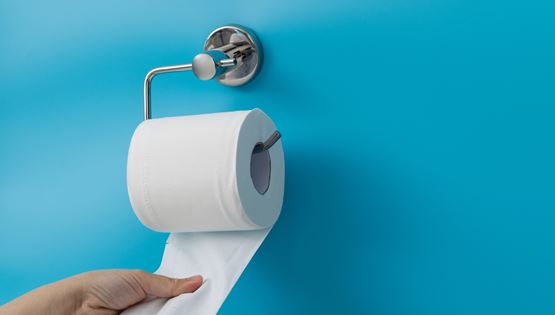 Σε ποιες χώρες επιτρέπεται να πετάς το χαρτί υγείας μέσα στη λεκάνη;