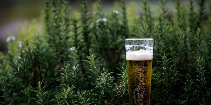 Τι πραγματικά κάνει το αλκοόλ στην πρόοδό σου από το γυμναστήριο