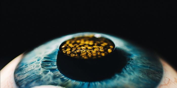 Τι μας αφήνει πίσω το 2025 σε μπαρ, εστιατόρια, φαγητό και ποτό