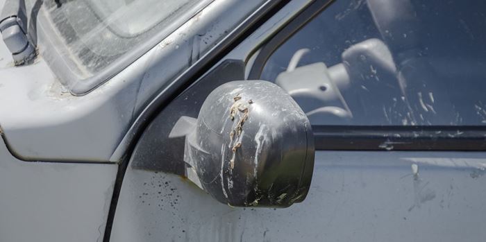 Το κόλπο για να μη σου λερώνουν τα πουλιά το αυτοκίνητο