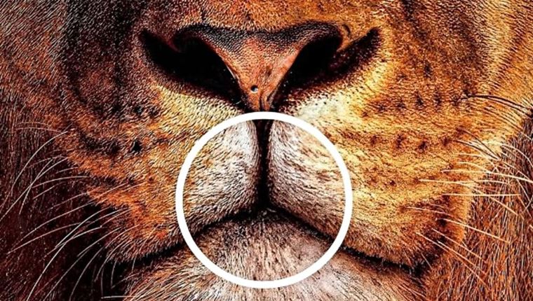 Η διαφημιστική καμπάνια φίρμας αυτοκινήτων που έγινε viral