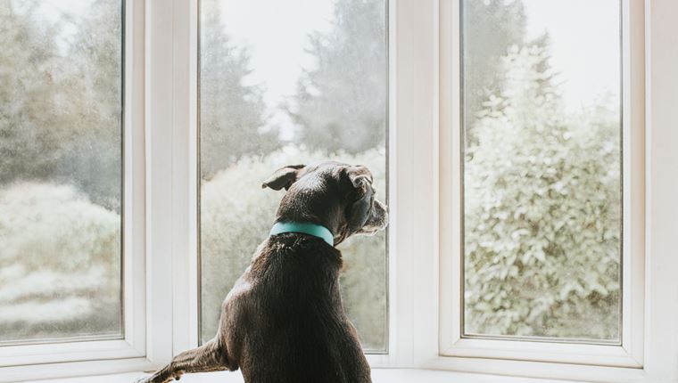 Καθόλου απίθανο να ζήσουμε ένα δεύτερο lockdown στην Αττική