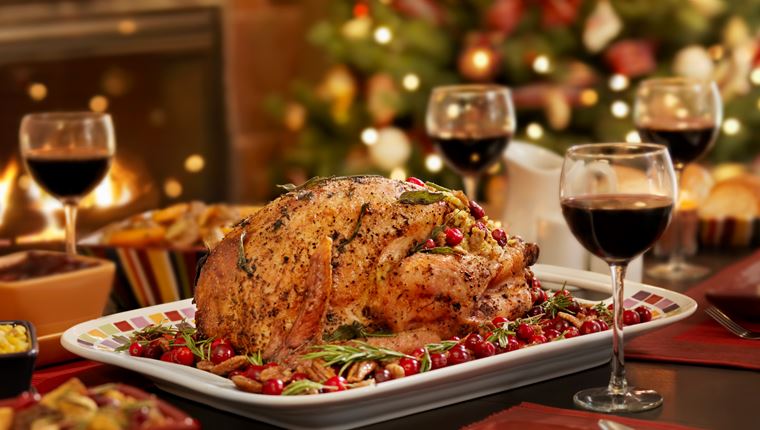 Όλα για τη γαλοπούλα