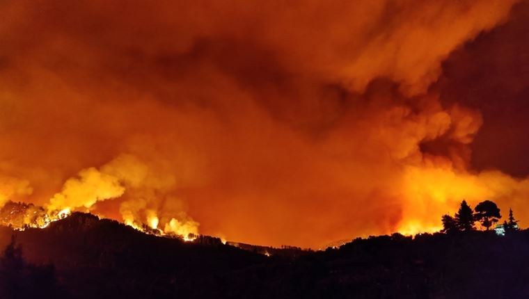 60.000 στρέμματα κάηκαν σε 4 μέρες, ο απολογισμός του Αστεροσκοπείου Αθηνών