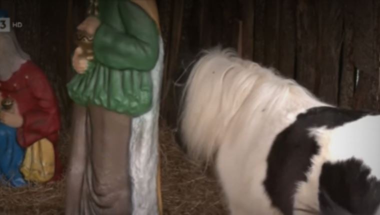 Φάτνες με ζωντανά ζώα, μία ακόμα αχρείαστη παγκόσμια πρωτοτυπία από το Δήμο Βόλου