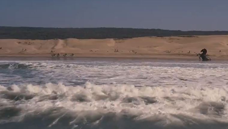 Διέρρευσε το trailer της Οδύσσειας του Christopher Nolan