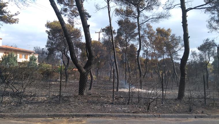 Σήμερα η απόφαση του δικαστηρίου για τη φονική πυρκαγιά στο Μάτι
