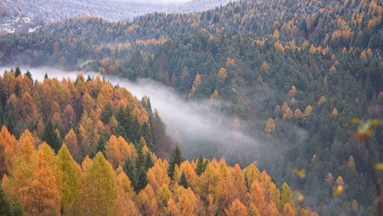Οι πυρκαγιές στη Σιβηρία προκάλεσαν ρεκόρ εκπομπών διοξειδίου του άνθρακα