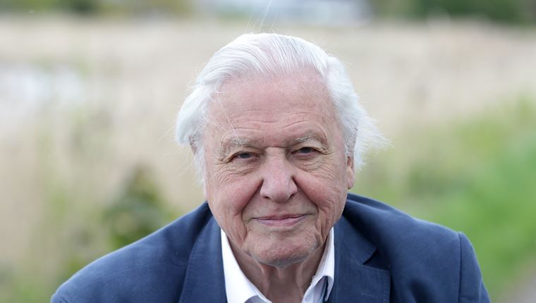 Το μήνυμα-ευχή του Sir David Attenborough για το 2021