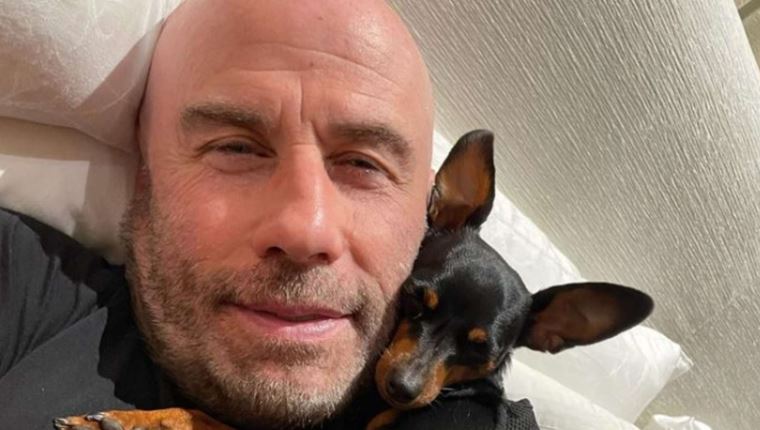 Οι φιλόζωοι διάσημοι του Χόλιγουντ