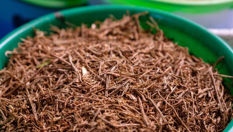 Λίγο Ashwaganda την ημέρα, το χρόνιο στρες κάνει πέρα