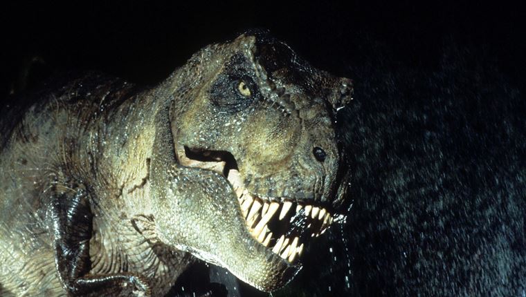 Σκελετός τυραννόσαυρου ηλικίας 67 εκ. ετών βγαίνει στο σφυρί