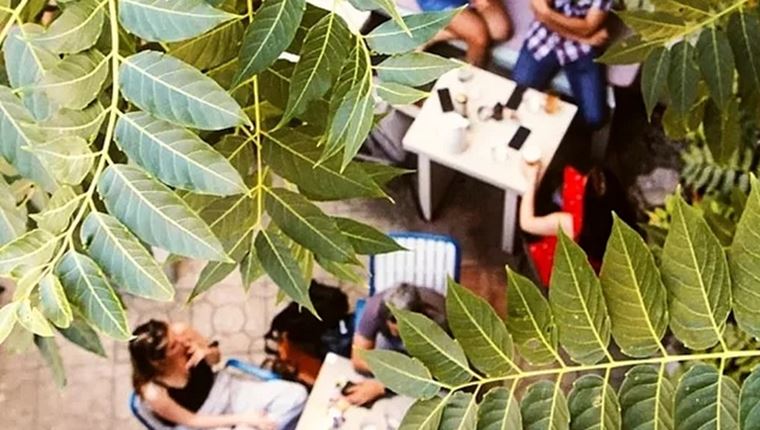 Τα μπαρ των αθηναϊκών αυλών