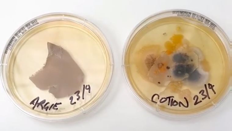 Άπλυτη μαξιλαροθήκη vs κάθισμα τουαλέτας: Πού κατοικούν περισσότερα βακτήρια;