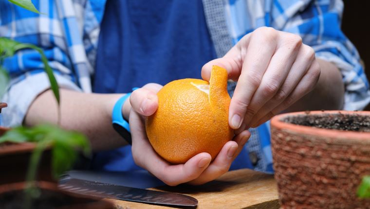 Tο &#39;οrange peel theory&#39; είναι το νέο &#39;τεστ&#39; σχέσεων που πρέπει να ξέρεις