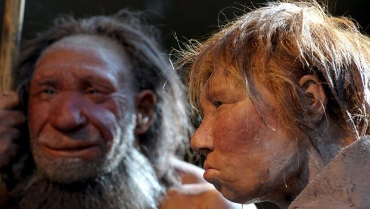 Νέα έρευνα αποκαλύπτει γιατί εξαφανίστηκαν οι Νεάντερνταλ