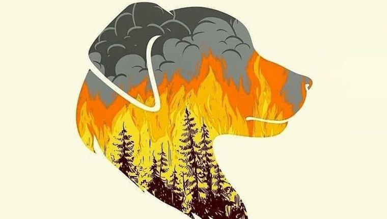 Κάηκε ολοσχερώς το καταφύγιο Fazoo Farm στον Κουβαρά