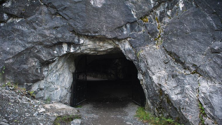 Στην Ινδονησία ανακαλύφθηκε η αρχαιότερη σπηλαιογραφία ζώου στον κόσμο