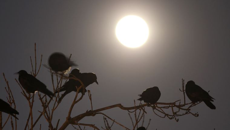 Πιο ζεστές οι νύχτες στην Ευρώπη λόγω της κλιματικής αλλαγής