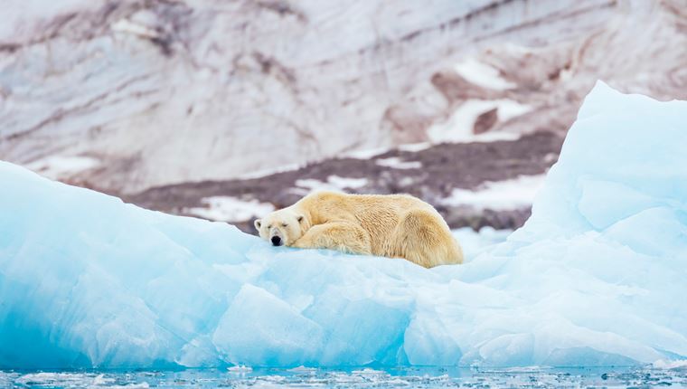 Στον Αρκτικό Κύκλο καταγράφηκε θερμοκρασία ρεκόρ