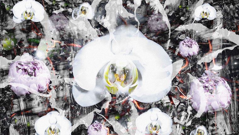 Ο εικαστικός Κώστας Πηγαδάς γεφυρώνει επιστήμη και τέχνη