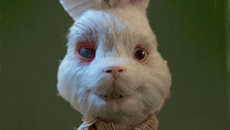 Save Ralph, η νέα απρόβλεπτη ταινία του Taika Waititi