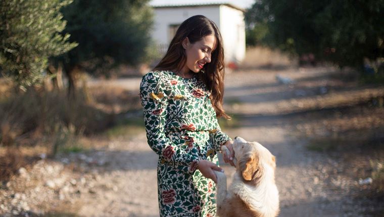 Stray Stories, ένα YouTube κανάλι με αδέσποτες ιστορίες