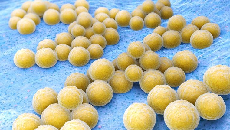 Τι είναι ο χρυσίζων σταφυλόκοκκος που οδήγησε στον θάνατο τον ψυχολόγο Δημήτρη Σκούρα