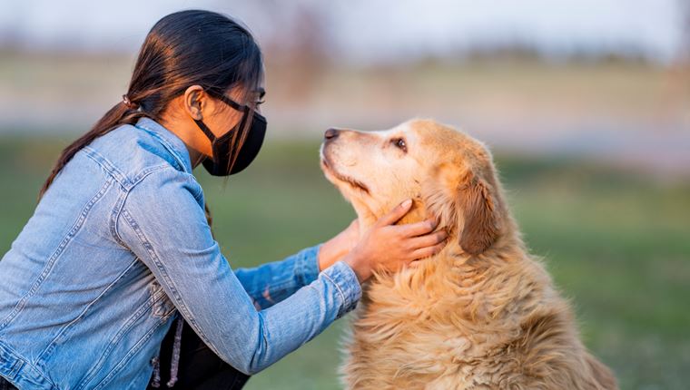 Οι σκύλοι ως ανιχνευτές του κορονοϊού στον άνθρωπο