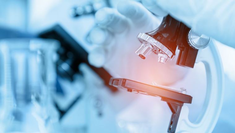 Σε άλλα νέα, αυξάνονται τα κρούσματα της ευλογιάς των πιθήκων